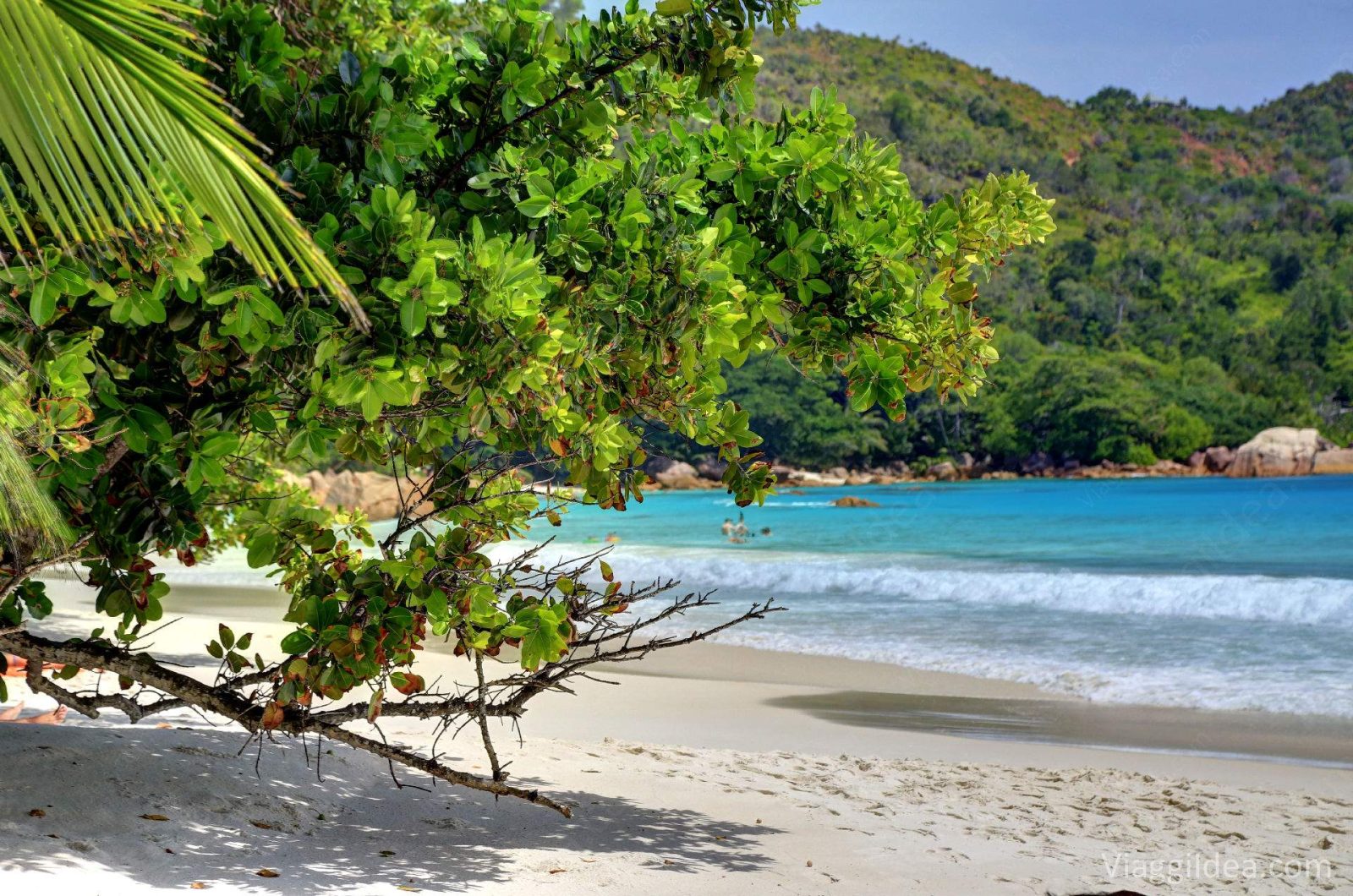 Anse Lazio